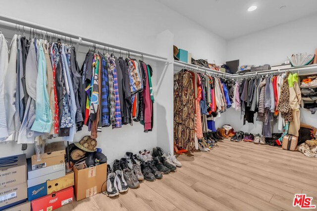 spacious closet with hardwood / wood-style flooring