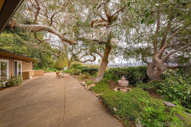 view of yard with a patio area