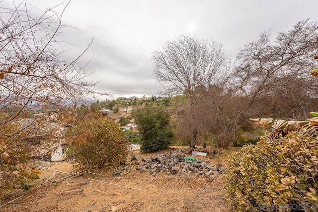 view of local wilderness