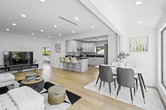 living room featuring a healthy amount of sunlight and light hardwood / wood-style floors