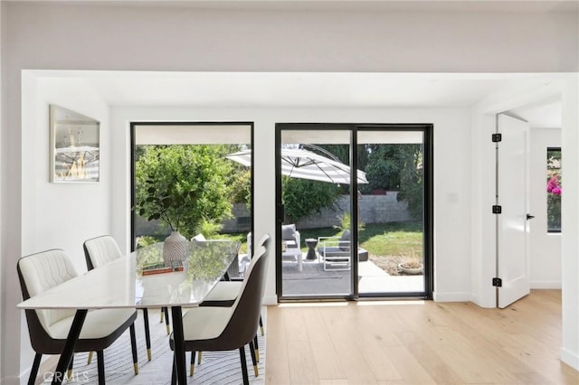 dining area with light hardwood / wood-style floors