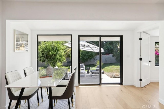 dining room with light hardwood / wood-style floors