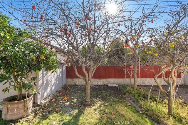 view of yard featuring an outdoor structure, a fenced backyard, and a storage shed