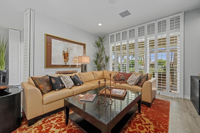 living room with wood-type flooring