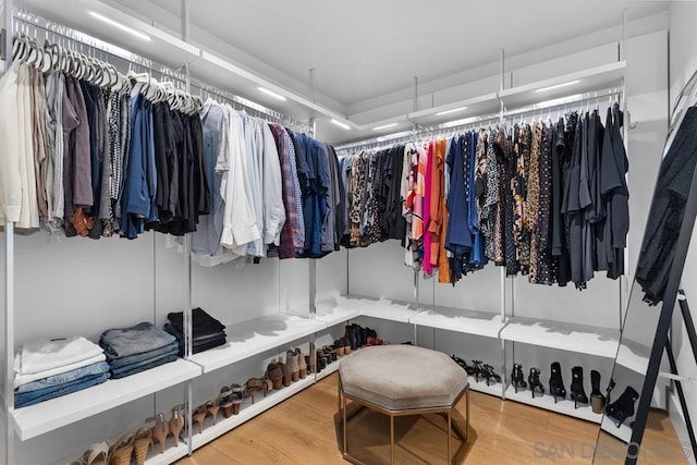 walk in closet with wood-type flooring