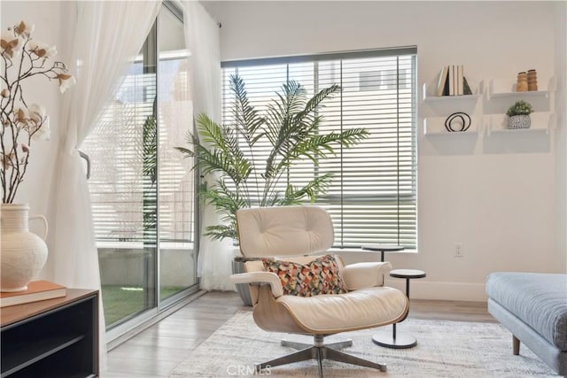 sitting room with a healthy amount of sunlight and light hardwood / wood-style flooring