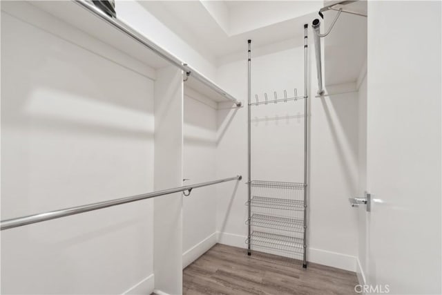 walk in closet featuring light hardwood / wood-style flooring