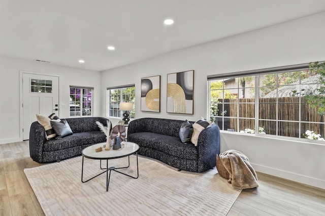 living room featuring light hardwood / wood-style flooring