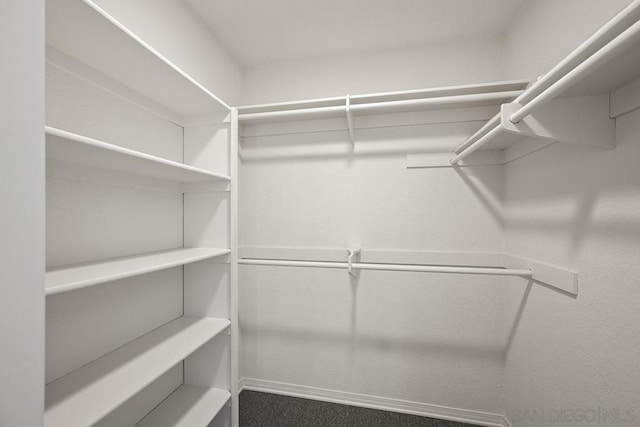 view of walk in closet