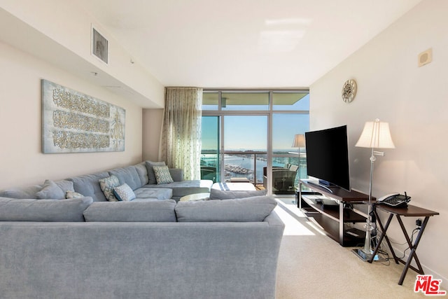 carpeted living room with expansive windows