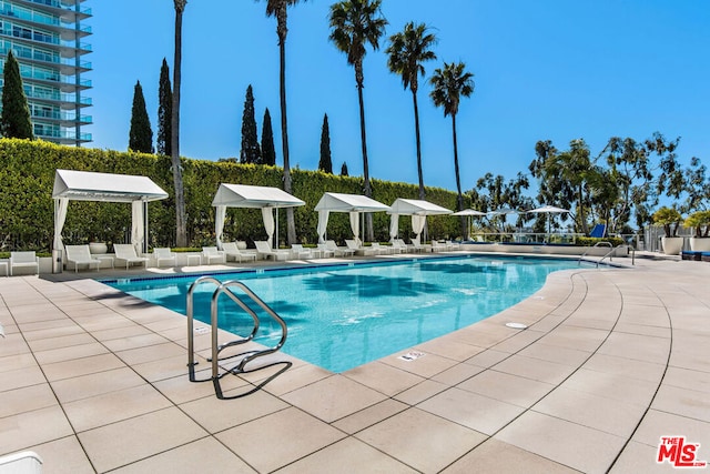 view of pool with a patio