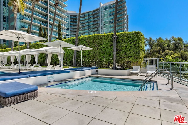 view of pool with a patio area