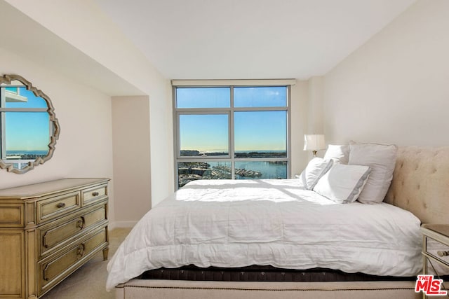 carpeted bedroom with a water view