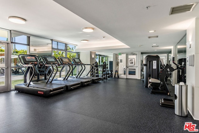 workout area featuring floor to ceiling windows and a wealth of natural light