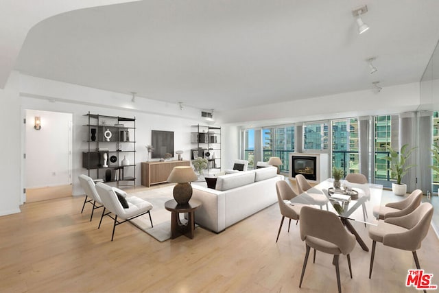 living room with light wood-type flooring and rail lighting