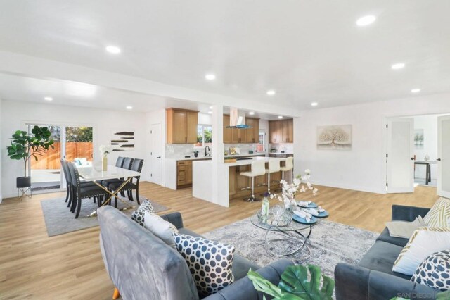 living room with light hardwood / wood-style floors and sink