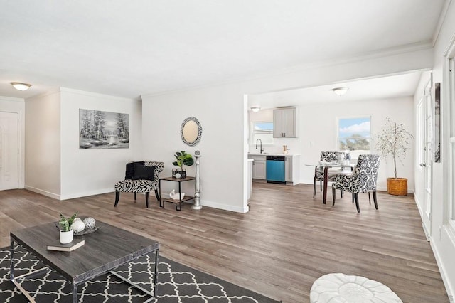 living room featuring sink, crown molding, and hardwood / wood-style floors