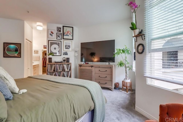 bedroom with a closet and carpet floors