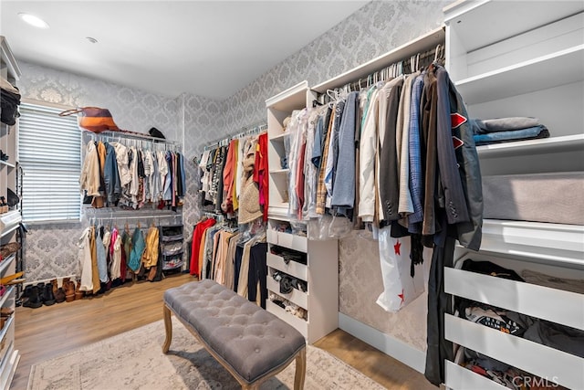 spacious closet featuring light hardwood / wood-style floors