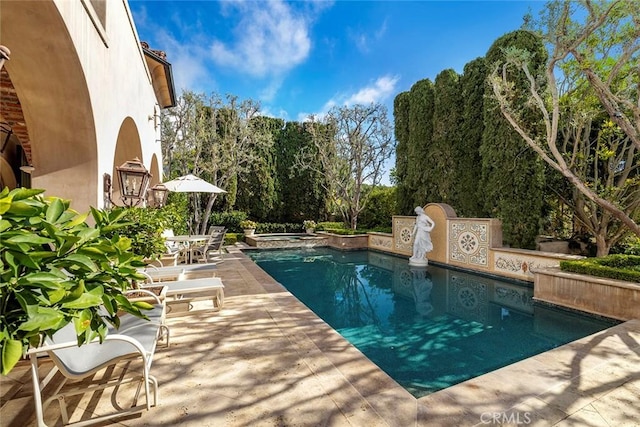 view of pool with a patio area