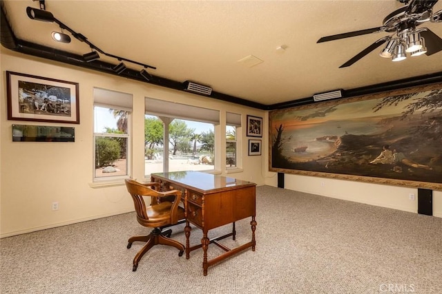 office space featuring carpet, ceiling fan, and rail lighting