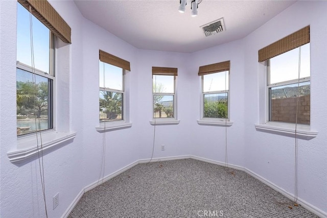 unfurnished room featuring carpet floors and a healthy amount of sunlight