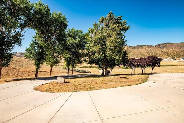 view of yard featuring a mountain view and driveway