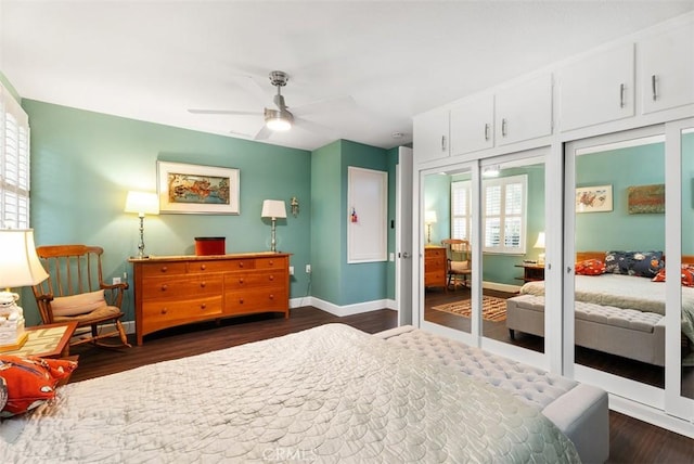 bedroom featuring ceiling fan, a closet, and dark hardwood / wood-style floors