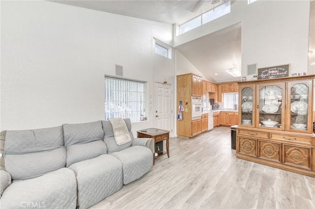 living room featuring light wood-type flooring and a high ceiling