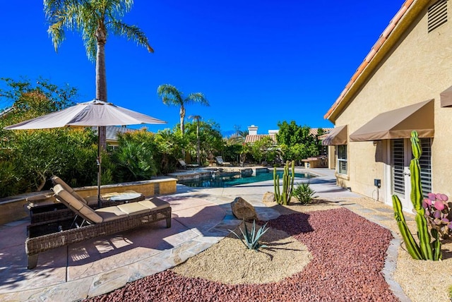 view of pool featuring a patio area