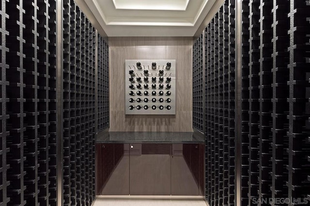 wine room with a tray ceiling