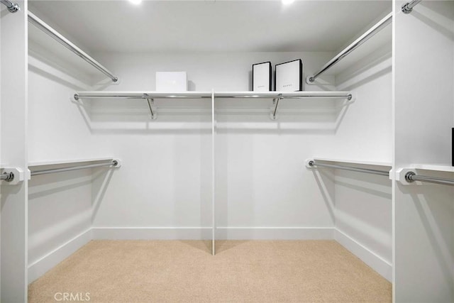 spacious closet with light colored carpet