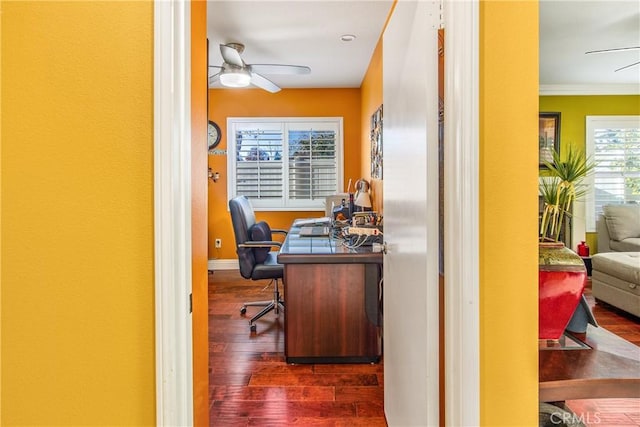 office with ceiling fan, dark wood-type flooring, and crown molding