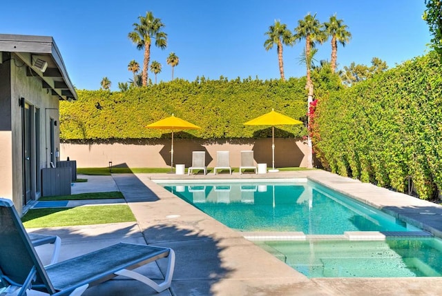 view of swimming pool featuring a patio