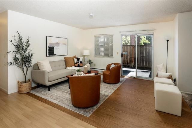 living room with light hardwood / wood-style floors and a baseboard heating unit