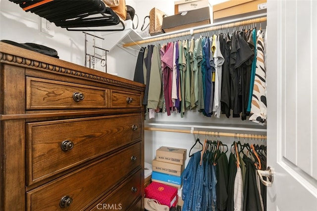 view of walk in closet