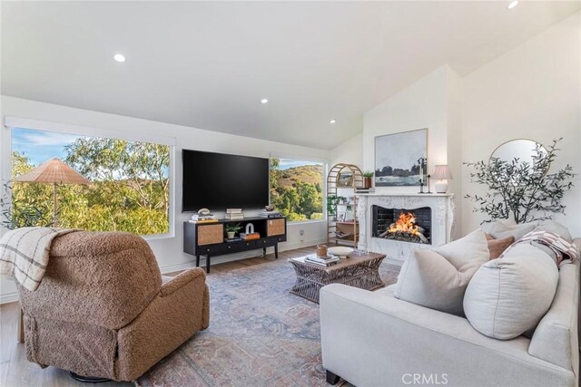 living room with hardwood / wood-style flooring and vaulted ceiling