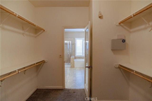 walk in closet featuring carpet