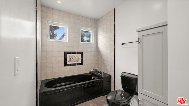 bathroom with toilet and a bathing tub