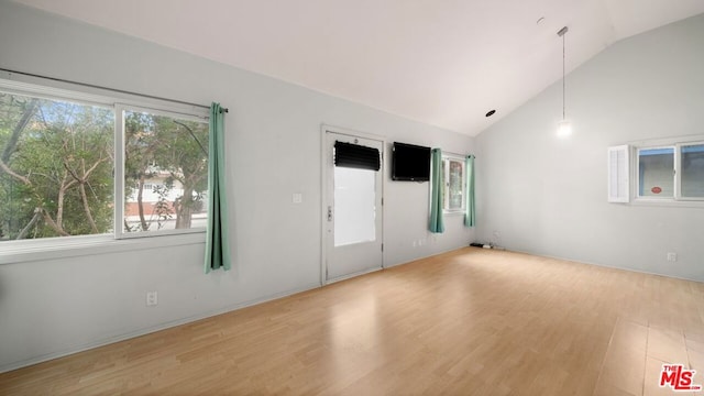 empty room featuring vaulted ceiling, a wealth of natural light, and light hardwood / wood-style floors