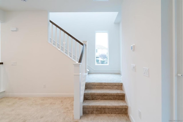 stairway featuring carpet