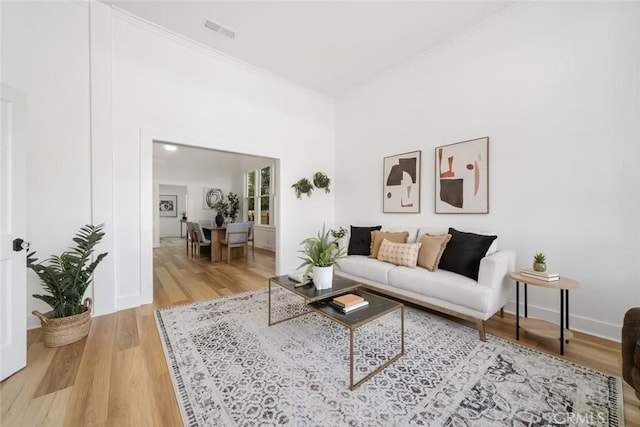 living room featuring wood-type flooring