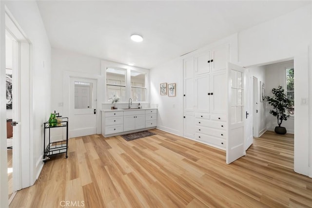 interior space with vanity and wood-type flooring