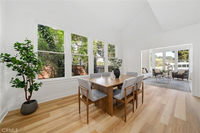 dining room with high vaulted ceiling and light hardwood / wood-style flooring