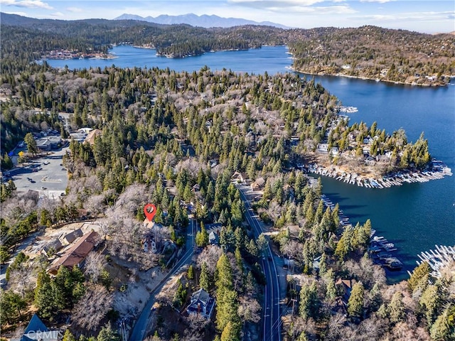 347 Emerald Dr, Lake Arrowhead, CA 92352 - view of property location featuring a forest and a water and mountain view