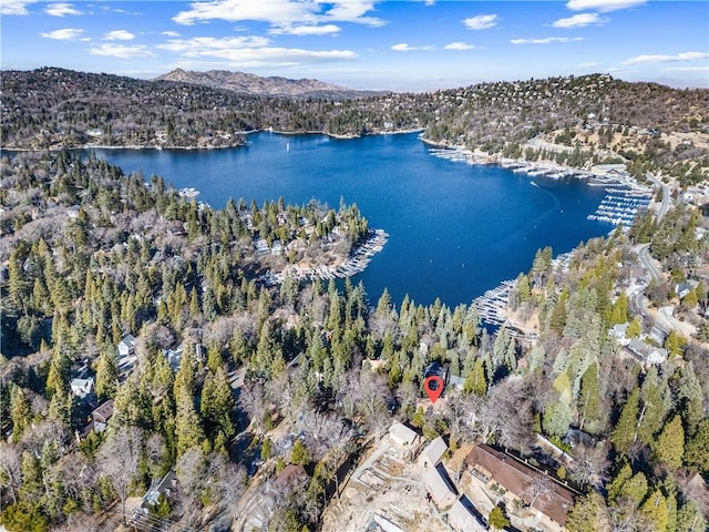 347 Emerald Dr, Lake Arrowhead, CA 92352 - aerial view of property and surrounding area with a water and mountain view and a heavily wooded area