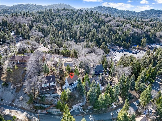 347 Emerald Dr, Lake Arrowhead, CA 92352 - view of property location featuring a forest and a mountainous background