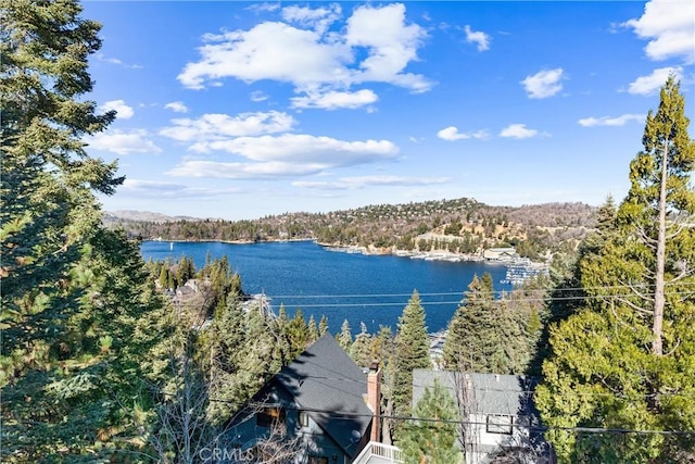 347 Emerald Dr, Lake Arrowhead, CA 92352 - water view featuring a forest