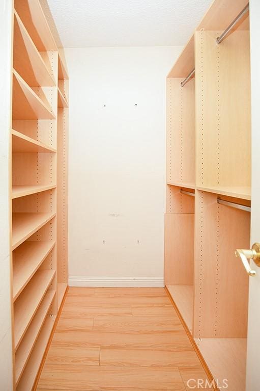 spacious closet with hardwood / wood-style flooring