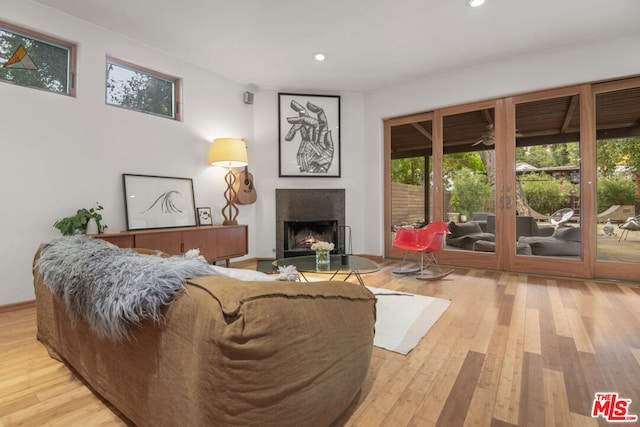 living room with hardwood / wood-style flooring